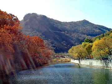 新澳天天开奖资料大全旅游团，松江电脑培训